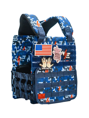 Blue Plate Carrier
